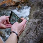 Zbliżenie męskich rąk robiących zdjęcie pnia drzewa w lesie za pomocą telefonu komórkowego